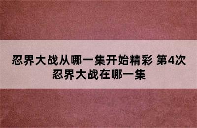 忍界大战从哪一集开始精彩 第4次忍界大战在哪一集